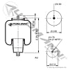ABSZ70-214 - Air Spring Cabin Freightliner (10D)
