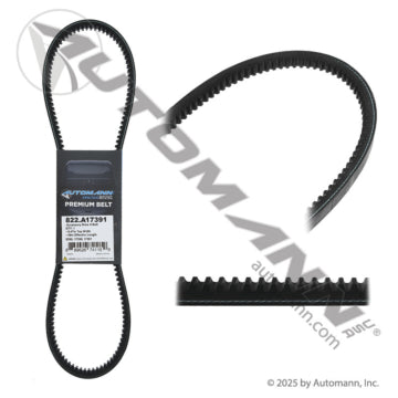 822.A17391 Accessory Drive V-Belt